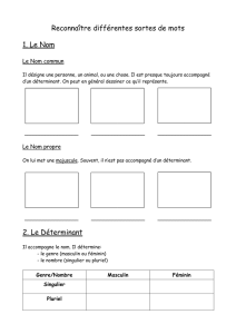 Reconnaître différentes sortes de mots 1. Le Nom 2