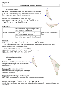 Chapitre 2: Triangles égaux, triangles semblables. I) Triangles