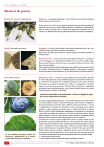 Télécharger l`article - Revue suisse de viticulture arboriculture