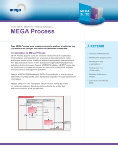MEGA Process