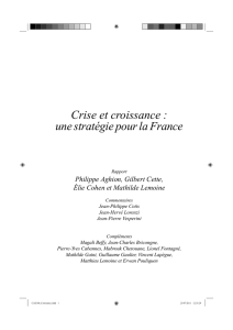 Crise et croissance : une stratégie pour la France