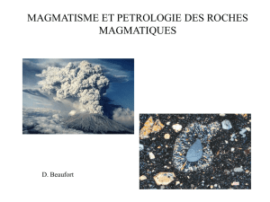 Pétrologie des roches magmatiques