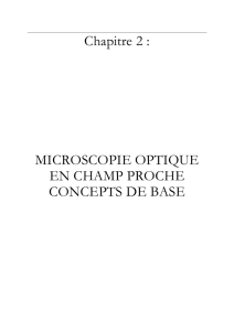Caractérisation par Microscopie en Champ Proche Optique de