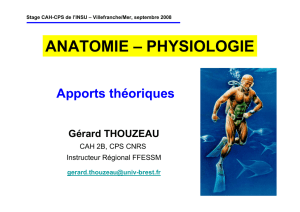 Anatomie-physiologie