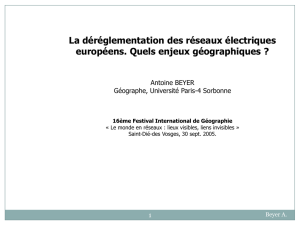 La déréglementation des réseaux électriques européens. Quels