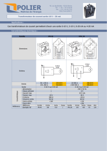 Ces transformateurs de courant permettent d`avoir une sortie