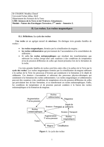 Les roches magmatiques