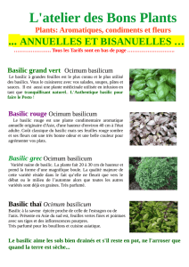 notre catalogue aromatiques