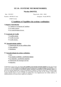 D1-UE10-Diotel-Audition_et_systeme_vestibulaire_12.02.16