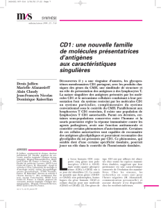 CD1: une nouvelle famille de molécules présentatrices d`antigènes