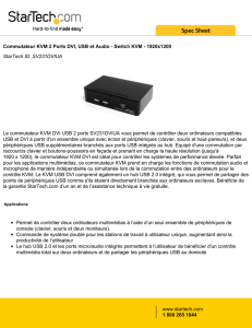 Commutateur KVM 2 Ports DVI, USB et Audio