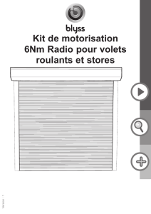 Kit de motorisation 6Nm Radio pour volets roulants et stores
