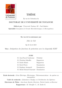 PDF - Accueil thèses - Université Paul Sabatier