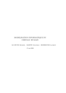 MODELISATION INFORMATIQUE DU CERVEAU HUMAIN