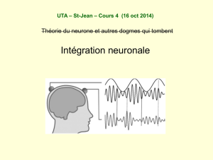 Cours 4 : L`int&eacute;gration neuronale