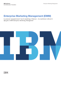 Enterprise Marketing Management (EMM)