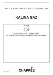 kalina gaz - Thermic Charpentier