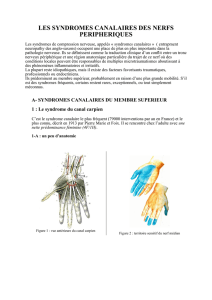 les syndromes canalaires des nerfs peripheriques