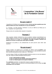 L`exposition `Life-Boxes` de la Fondation Cancer