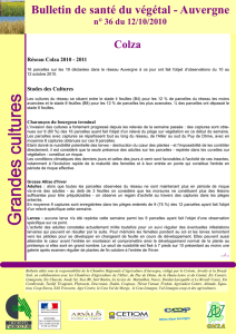 Bulletin de santé du végétal Auvergne N° 36