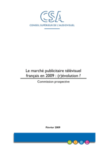 Le marché publicitaire télévisuel français en 2009 : (r)évolution ?