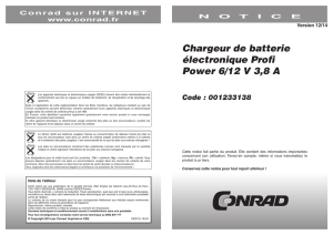 Chargeur de batterie électronique Profi Power 6/12 V 3,8 A Code