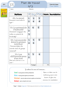 Plan de travail N°3 P1