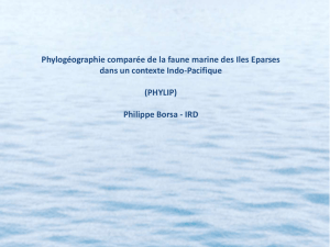 Phylogéographie comparée de la faune marine des Iles