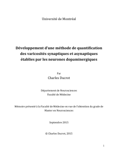 Memoire_Charles_Ducrot_2015 - Papyrus : Universit&eacute; de Montr&eacute;al