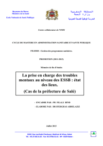 La prise en charge des troubles mentaux au niveau des ESSB