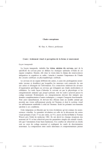 Traitement visuel et perception de la forme et mouvement