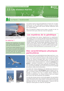 2.3.Les oiseaux marins