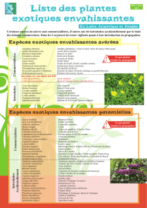 liste des plantes invasives