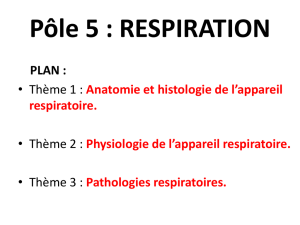 I 1 Anatomie de l`appareil respiratoire.