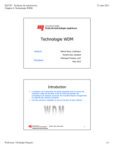 Pour télécharger les notes du cours sur la Technologie WDM