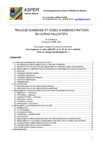 trousse durgence et voies d`administration en soins palliatifs