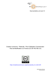 Creative commons : Paternité - Pas d`Utilisation Commerciale