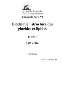 Biochimie : structure des glucides et lipides