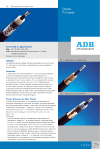 Câbles Primaires - ADB Airfield Solutions