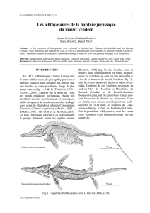 Les ichthyosaures de la bordure jurassique du massif Vendéen