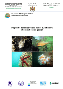 WEB Diagnostic de la biodiversite marine du