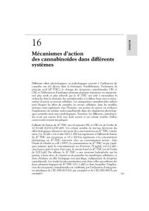 Mécanismes d`action des cannabinoïdes dans différents systèmes