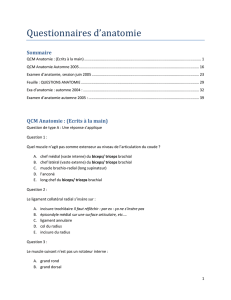 Questionnaires d`anatomie
