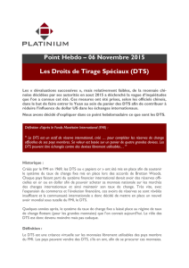 DTS - Platinium Gestion