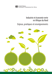 Industrie et économie verte en Afrique du Nord Enjeux, pratiques et