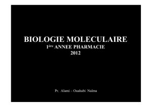 (Microsoft PowerPoint - Molecular Biology 1st Y PH 2012 Pr. N