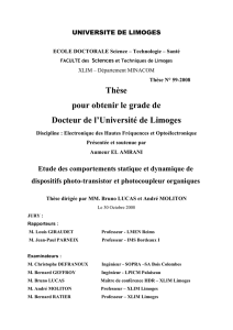 Etude des comportements statique et dynamique de dispositifs