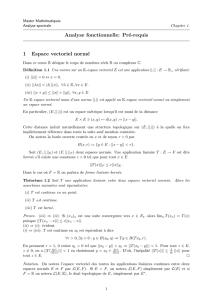 Analyse fonctionnelle: Pré-requis 1 Espace vectoriel normé