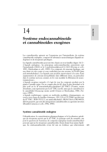 Système endocannabinoïde - iPubli