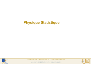 Physique Statistique